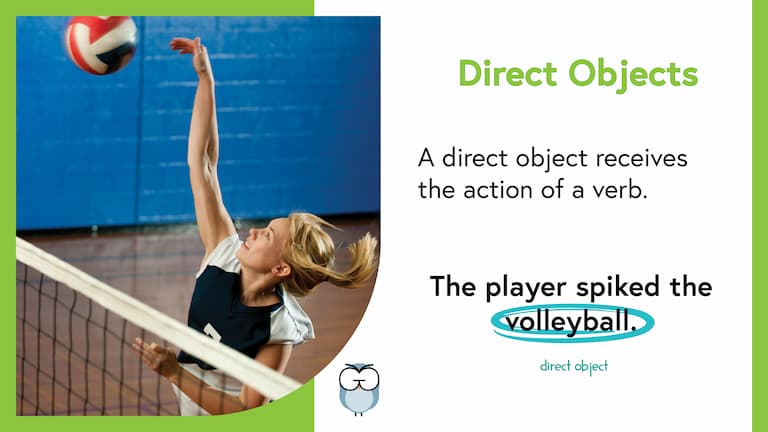 Direct Objects Memorable Image FINAL Direct Objects