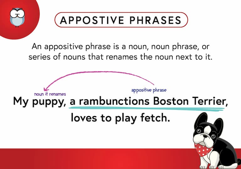 Appositive Phrases Def Card-FINAL Appositive Phrases