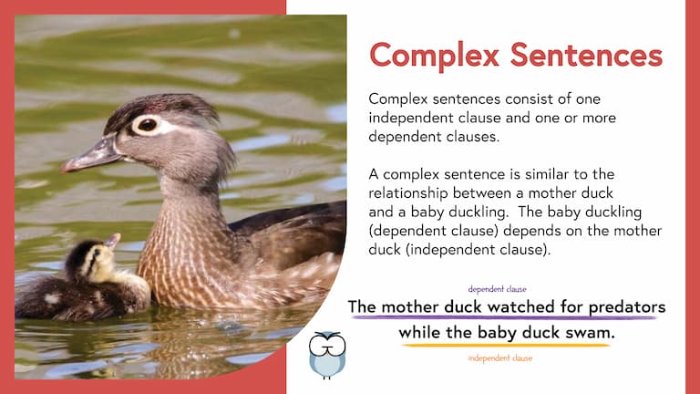 Complex Sentences-Mem Images-FINAL Complex Sentences