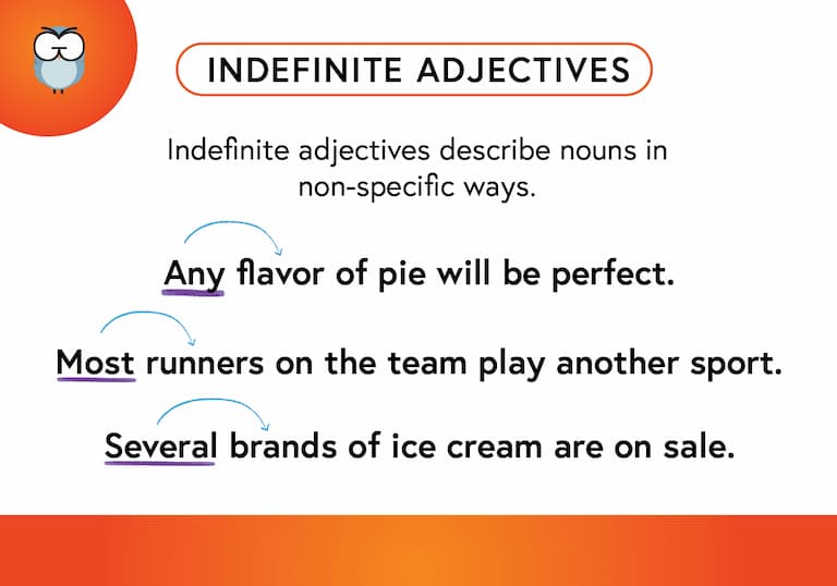 Indefinite Adjectives Def Card-FINAL Indefinite Adjectives