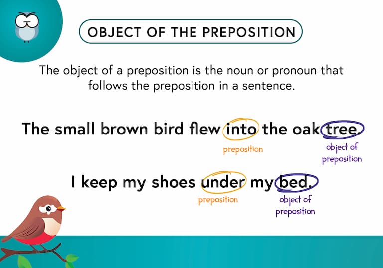 Object of the Preposition Def Card-FINAL Object of the Preposition
