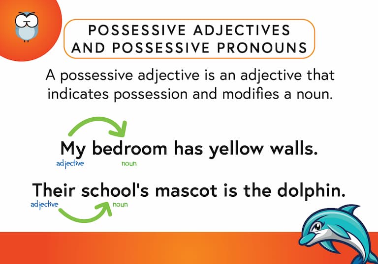Possessive Adjectives Def Card FINAL Possessive Adjectives