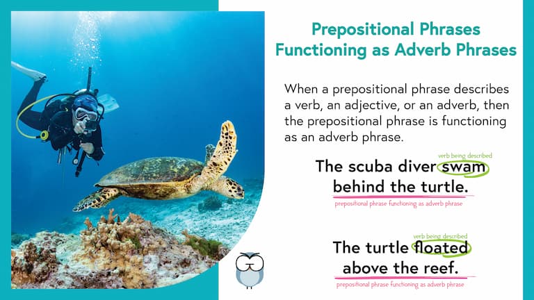 Prep Phrase Function as Adverb Phrase Mem Im Fin Prepositinoal Phrases Functioning as Adverb Phrases