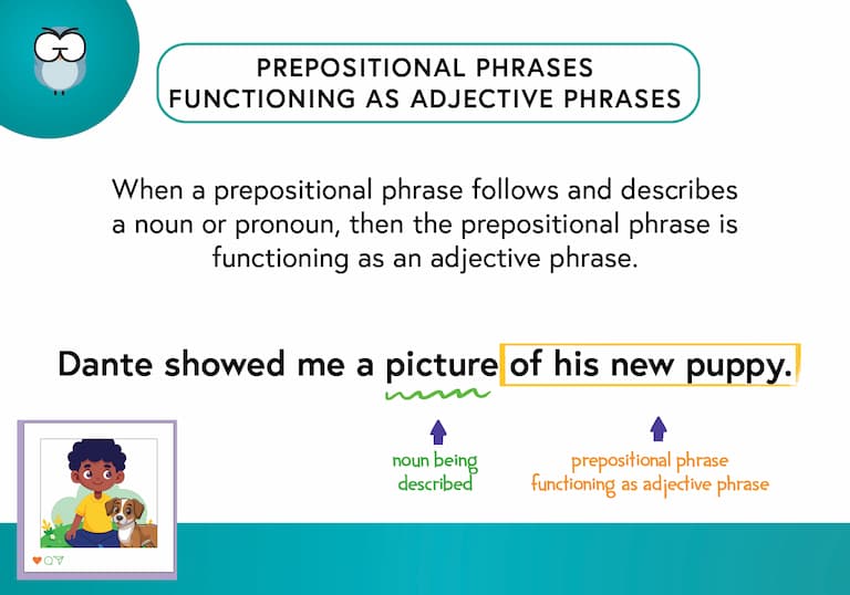 Prep Phrase as Adj Phrase Def Card-FINAL Prepositional Phrase Functioning as an Adjective Phrase