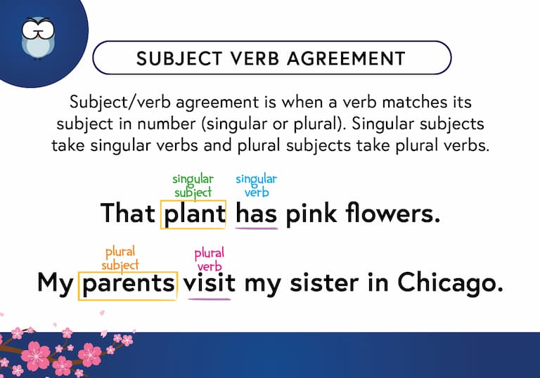 Subject Verb Agreement-Def Card FINAL Subject Verb Agreement